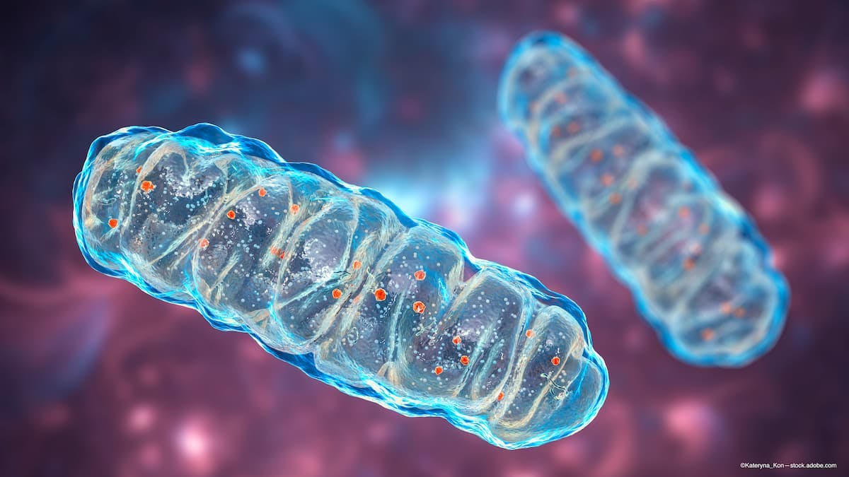 Novel AMD gene therapy targets mitochondrial function in malfunctioning cells