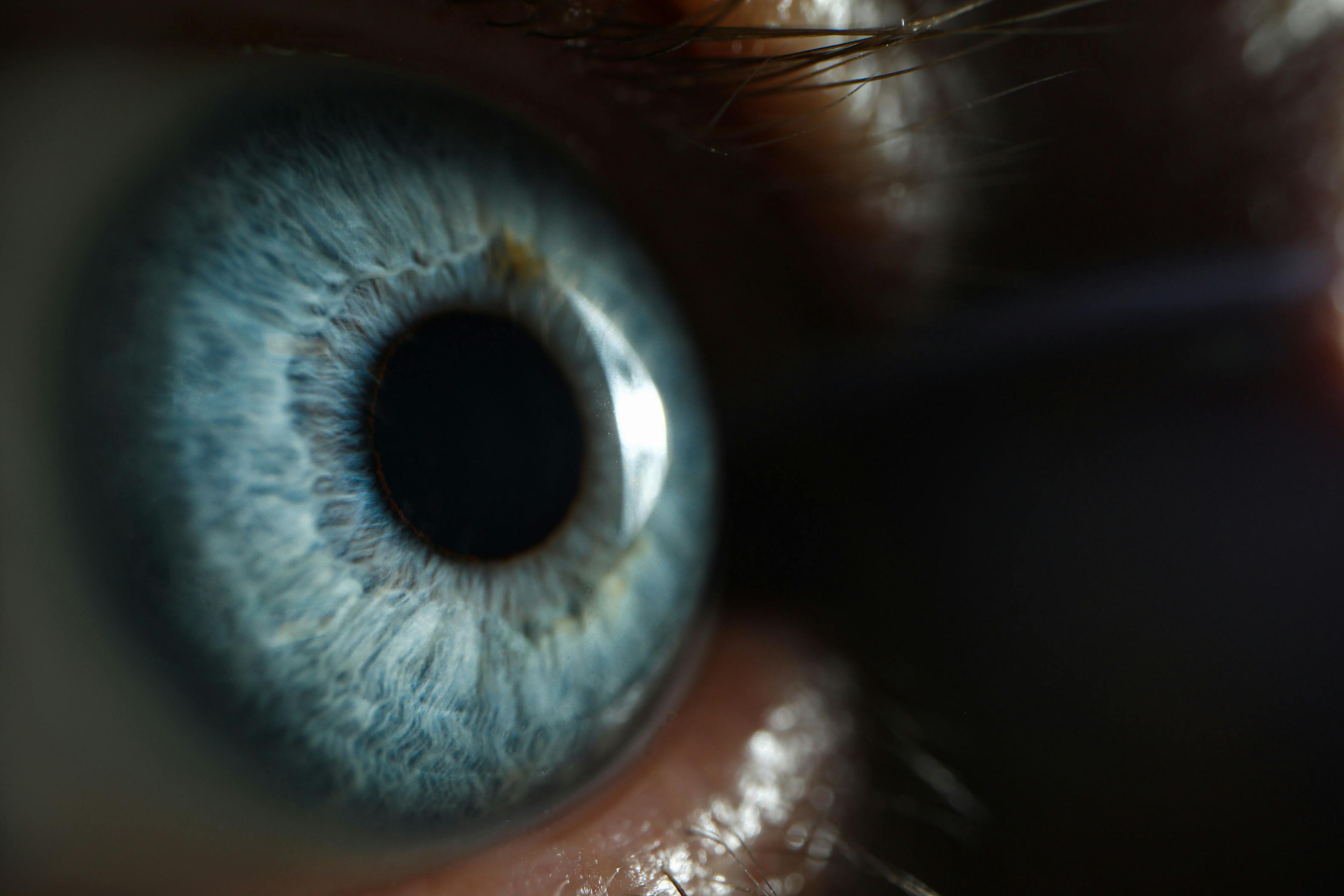 retina and glaucoma monitoring