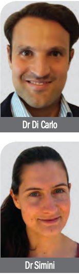 Dr Emiliano Di Carlo and Dr Camilla Simini