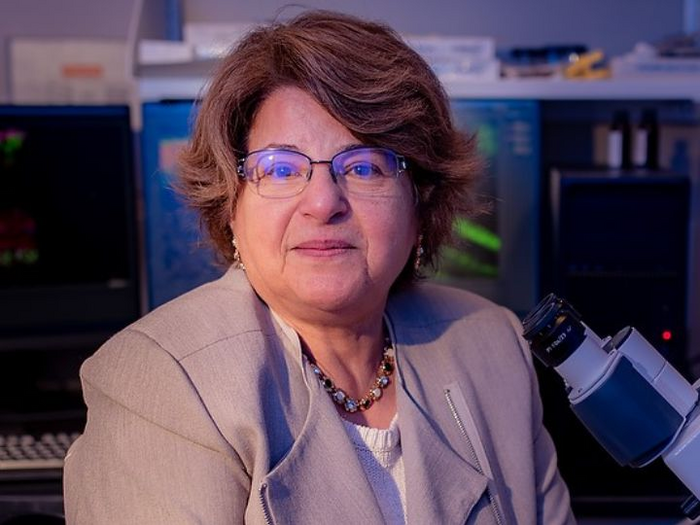 Muna Naash, PhD, University of Houston John S. Dunn Endowed Professor of biomedical engineering, is expanding a method of gene therapy with the hopes it will restore vision loss in Usher Syndrome Type 2A. (Image courtesy of University of Houston)