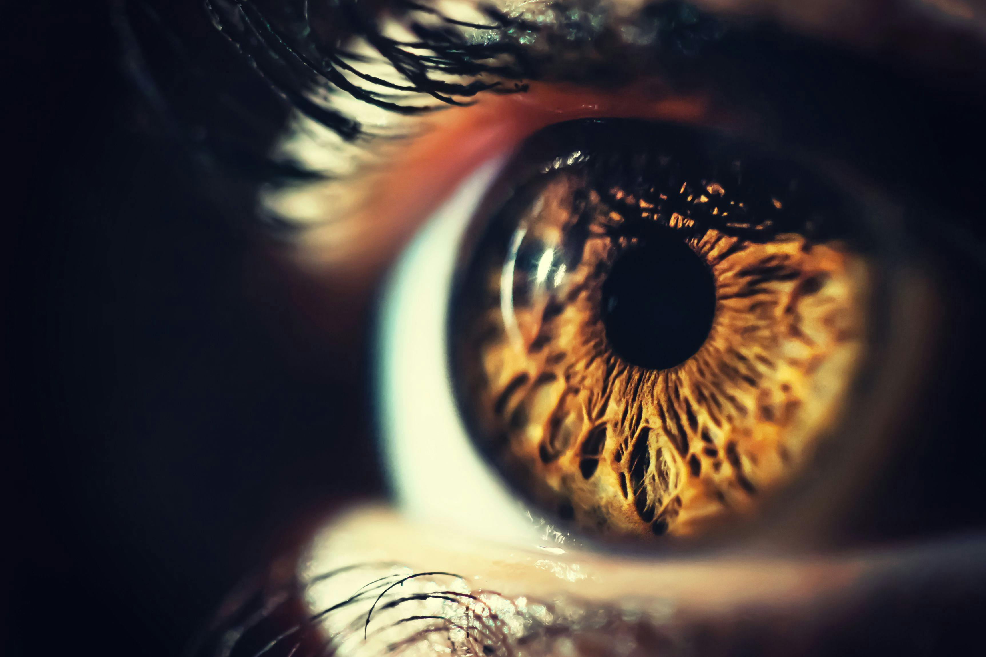Exploratory data analysis from the trial of lampalizumab (Genentech/Roche) has shed new light on the behavior of geographic atrophy, the advanced form of age-related macular degeneration. (Adobe Stock image)