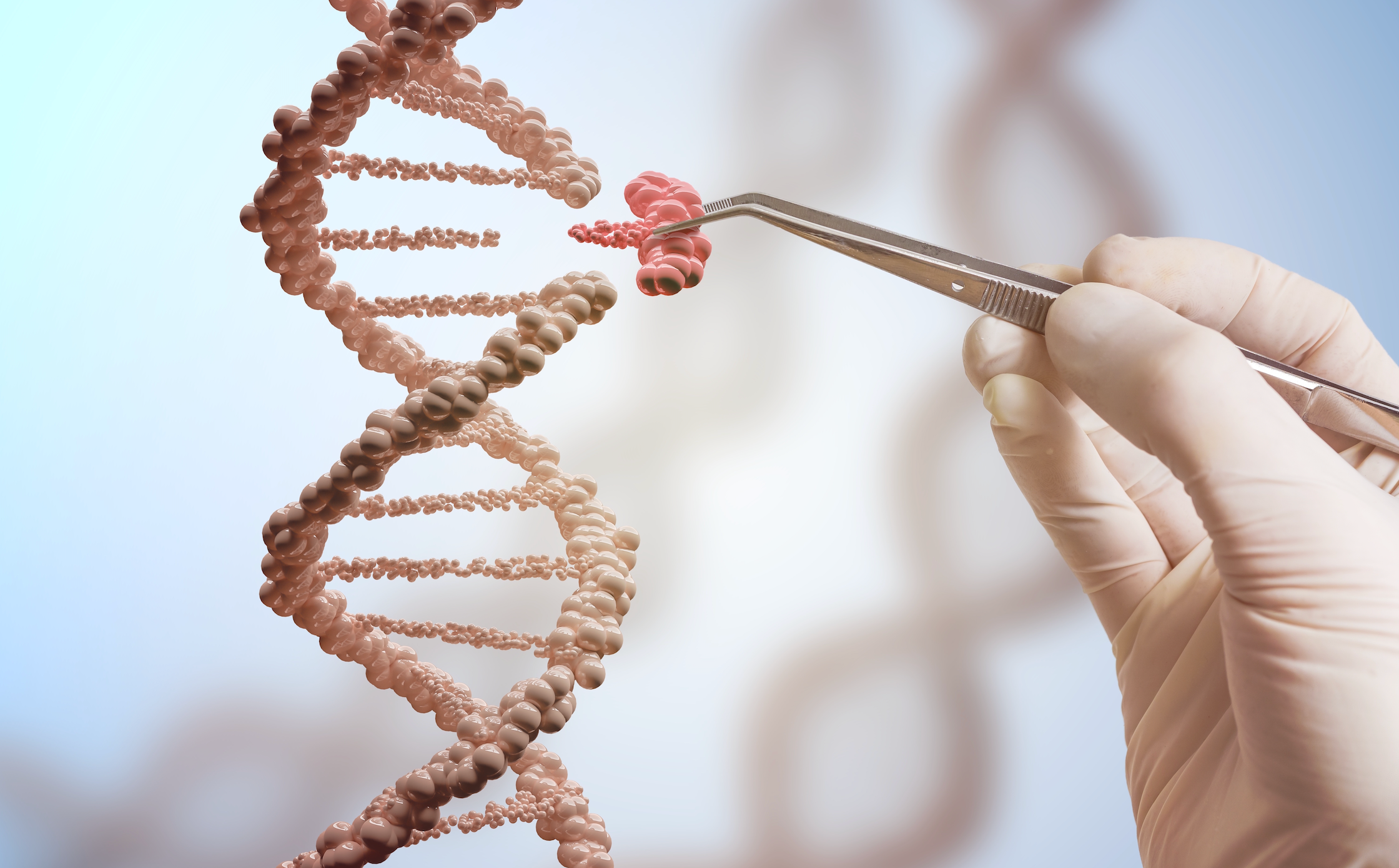 Data for IG-002 show for the first time that a single subretinal administration of a DNA payload encoding the human ABCA4 gene resulted in durable expression of human ABCA4 protein. (Adobe Stock image)