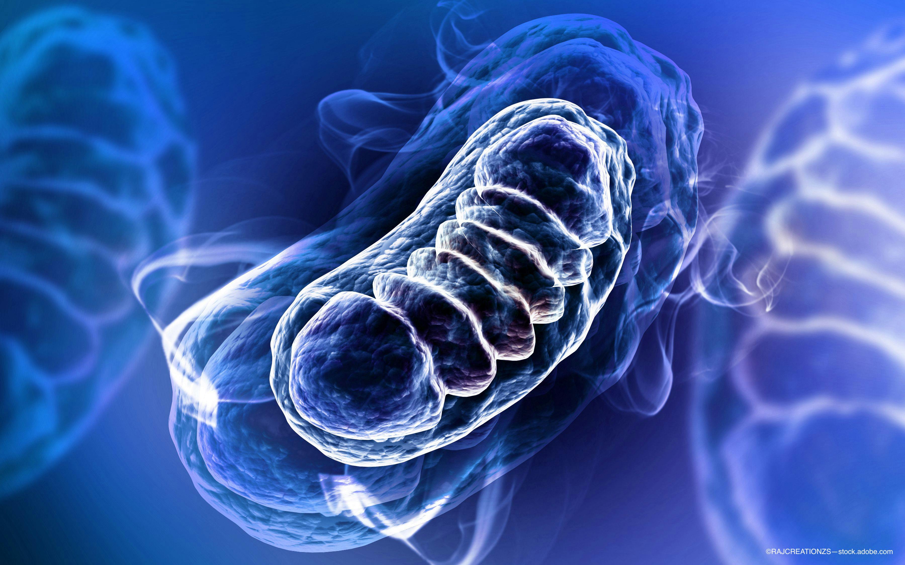 Protecting mitochondria with elamipretide